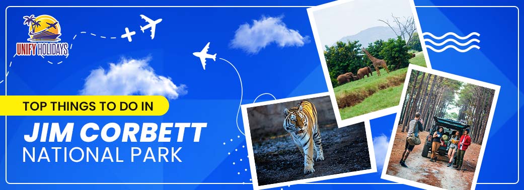 Top Things to Do in Jim Corbett National Park
